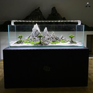 High-quality and natural decoration for a freshwater aquarium