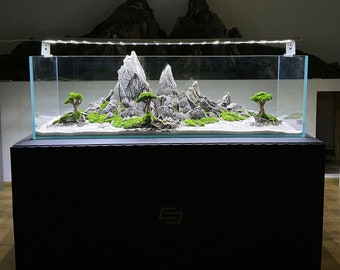 High-quality and natural decoration for a freshwater aquarium