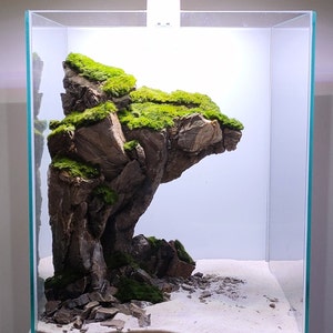 Ancient Stone glued aquascape for nano aquarium 30x30x30cm