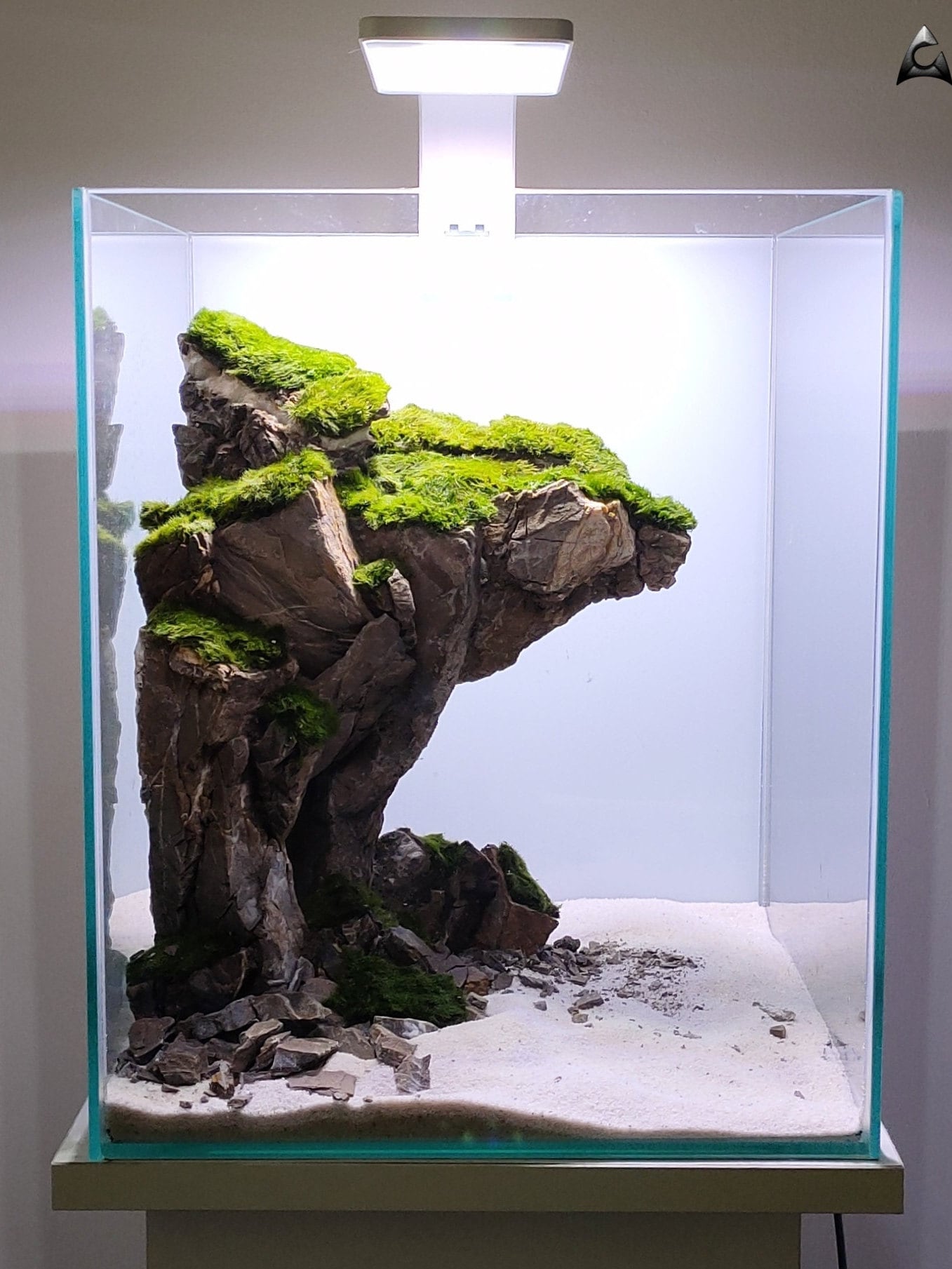 Ancient Stone Glued for Aquarium 30x30x30cm - Etsy