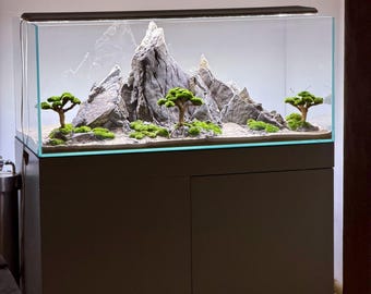 aquascaping