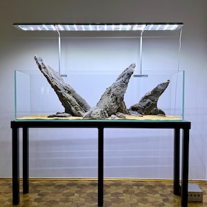 Könnte beinhalten: Ein rechteckiges Glasaquarium steht auf einem schwarzen Metallgestell. Im Inneren sind drei große, zerklüftete, dunkelgraue Felsen auf einem hellbraunen Sandboden angeordnet. Eine lange, schmale LED-Leuchte ist über dem Aquarium montiert.