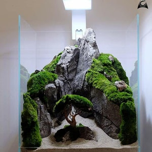 Ancient Stone glued aquascape for nano aquarium image 6