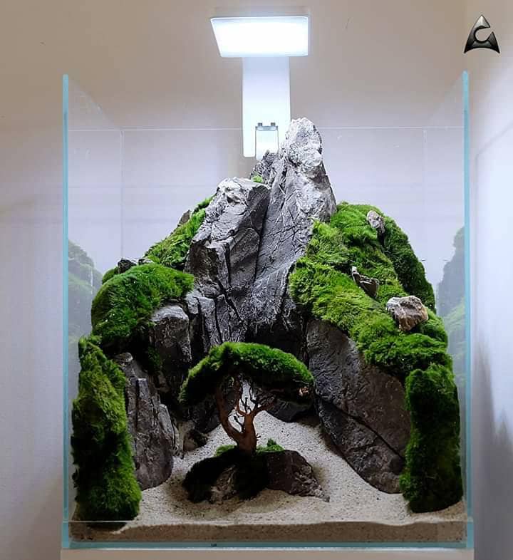 Décoration pierre ancienne aquascape collé pour aquarium d'eau douce  30x30x30cm -  France