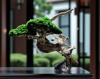Preserved Bonsai "Eternal" – Natural Rocks, Stabilized Moss Roots – Unique Home & Office Decor