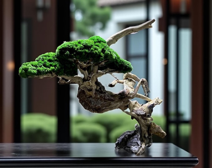 Featured listing image: Preserved Bonsai "Eternal" – Natural Rocks, Stabilized Moss Roots – Unique Home & Office Decor