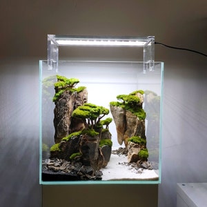 Ancient Stone glued aquascape for nano aquarium image 9