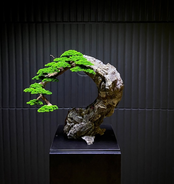 Konservierter Bonsai "Eternal" Konserviertes Moos, Naturstamm, Naturstein -  Etsy.de
