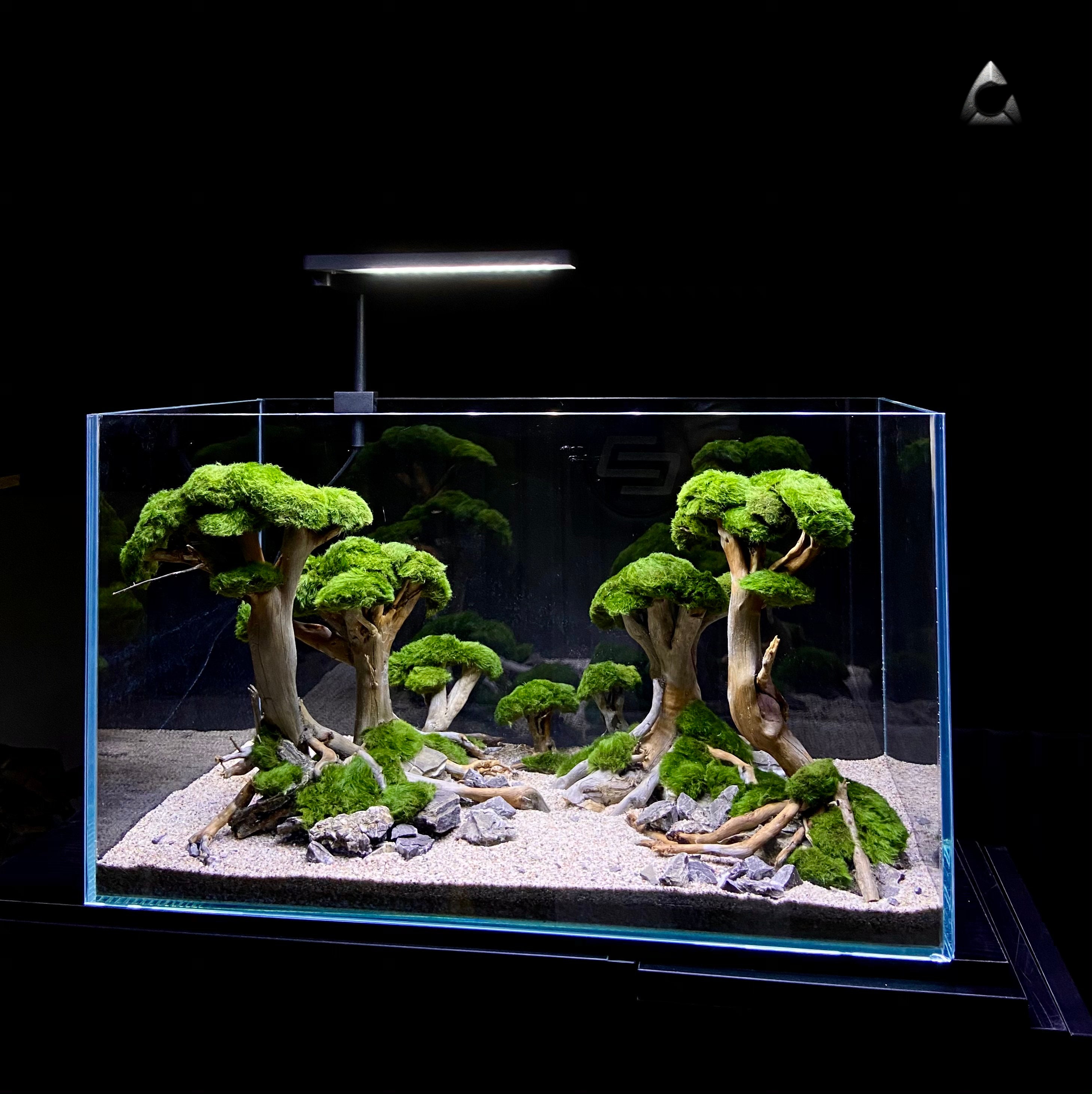 Décoration d'aquarium avec mousseur Crâne avec pneus 13 cm