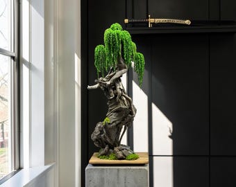 Preserved Bonsai "Eternal" Presved Moss, Natural Trunk, Natural rock, Semi artificial bonsai