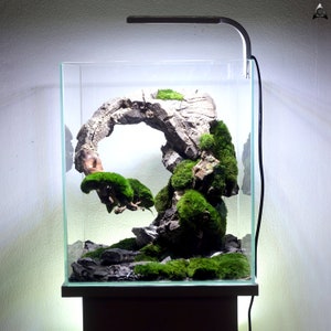 Ancient Stone glued aquascape for nano aquarium zdjęcie 8