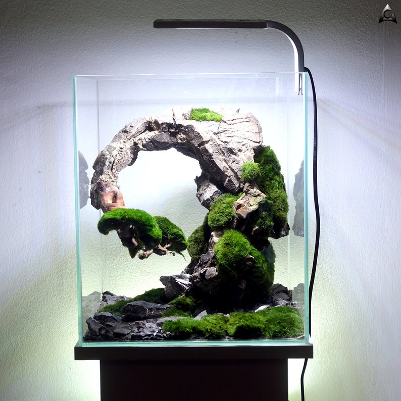 Ancient Stone glued aquascape for nano aquarium image 8