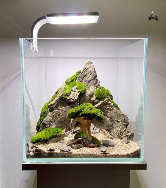 Ancient Stone Decoration Glued Aquascape for Freshwater Aquarium