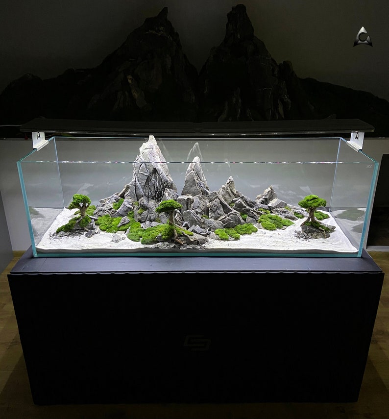 High-quality and natural decoration for a freshwater aquarium zdjęcie 2