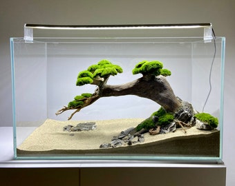 Bonsai Tree Aquarium, , Bonsai Aquascape, Fish Tank Decoration, Aquarium Aquascape, Aquarium Decoration