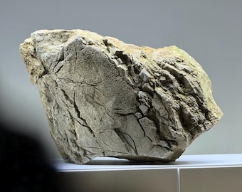Unique Natural Stone for Aquarium & Terrarium – Decorative Rock with Organic Shape | One of a Kind Aquascape Hardscape