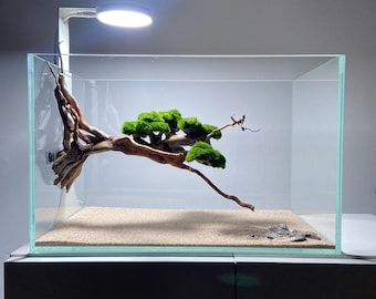 Fly Bonsai for Aquarium – Magnetic Natural Driftwood Tree, Handmade Aquascape Decor