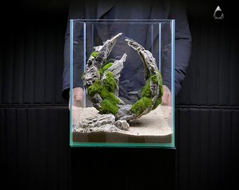Ancient Stone glued aquascaping for Freshwater nano aquarium