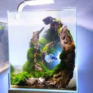 Ancient Stone glued aquascape for nano aquarium image 2