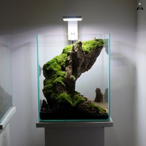 Ancient Stone glued aquascape for nano aquarium image 4