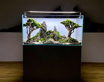 Bring the mountains to Your aquarium with a high-quality and natural freshwater decoration.