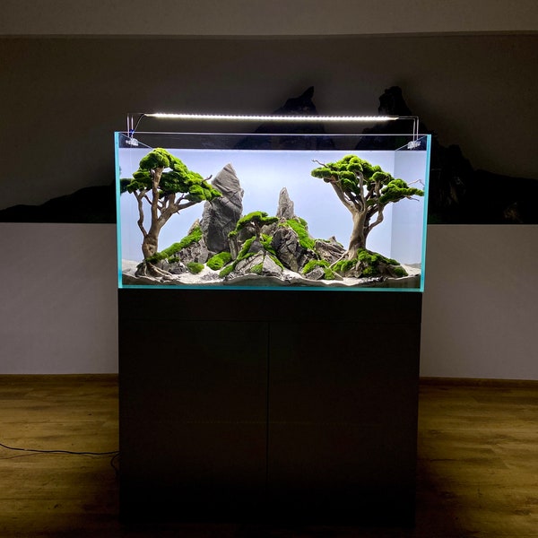 Bring the mountains to Your aquarium with a high-quality and natural freshwater decoration.