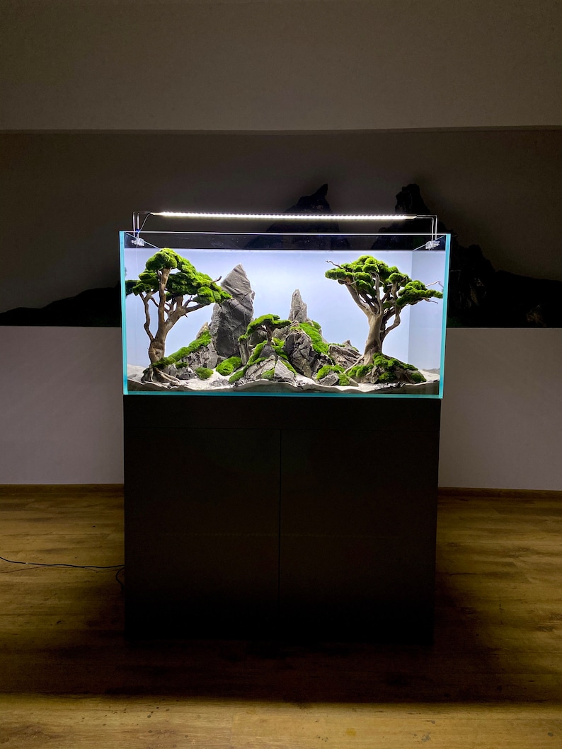 Bring the mountains to Your aquarium with a high-quality and natural freshwater decoration. image 1