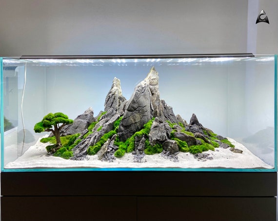 Apportez les montagnes à votre aquarium avec une décoration d'eau