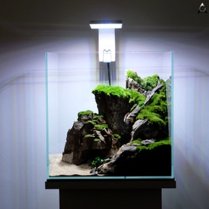 Ancient Stone glued aquascape for nano aquarium image 7