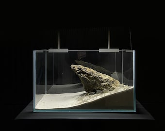 Beautiful Ancient  Stone for  iwagumi aquarium " Minimalistic style with only one stone"