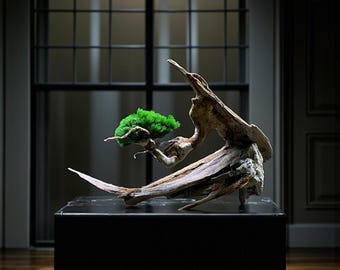 Handcrafted Bonsai "Eternal" – Unique Bonsai Tree Decor with Stabilized Moss, Natural Roots Rare Rocks for Home, Office & Luxury Interiors