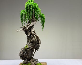 Preserved Bonsai "Eternal" Presved Moss, Natural Trunk, Natural rock, Semi artificial bonsai