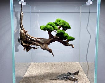 Floating Bonsai Aquarium Decor – Handmade Natural Driftwood Tree, Magnetic Aquascape Decoration