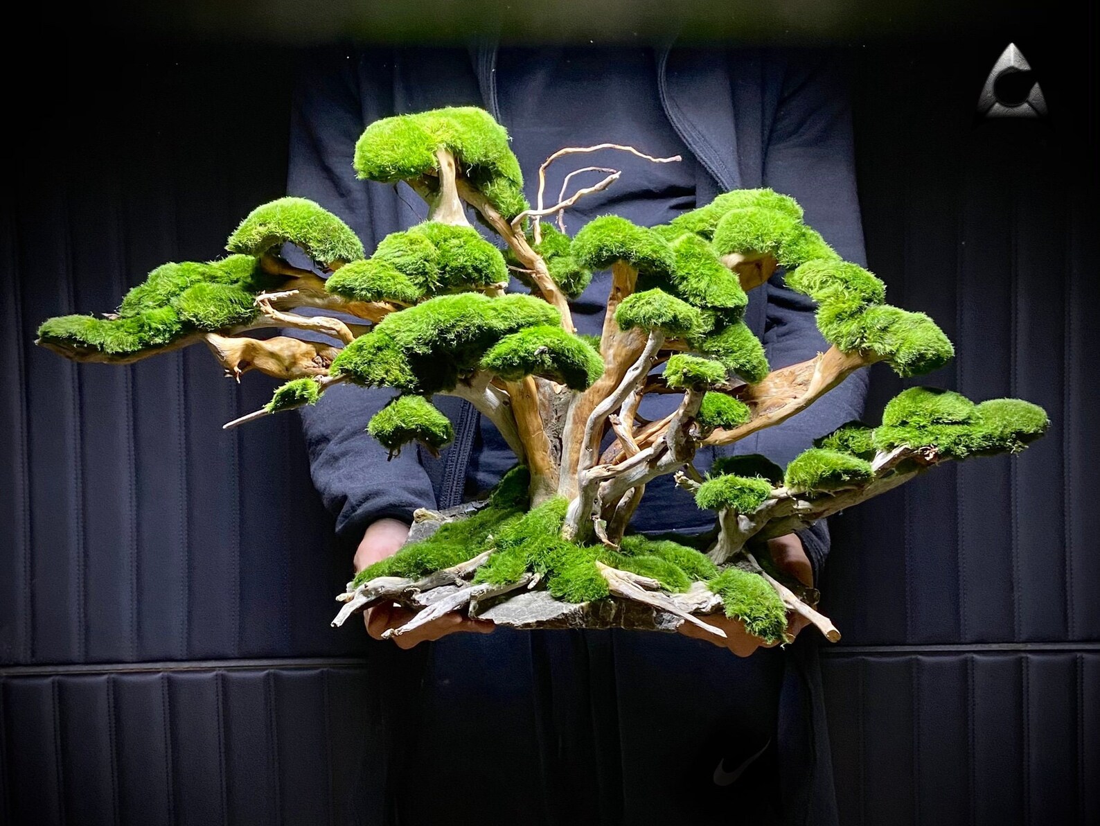 Bonsai Tree Aquascape for Aquarium Driftwood and Ancient Stone Etsy