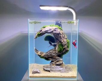 Complete  aquarium set with Ancient Stone Moon Aquascape decoration