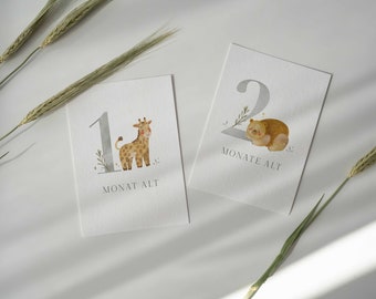 Meilensteinkarten Baby, 12 Motive, Süße Tiere, Monatskarten für das 1. Jahr, Geschenk zur Geburt