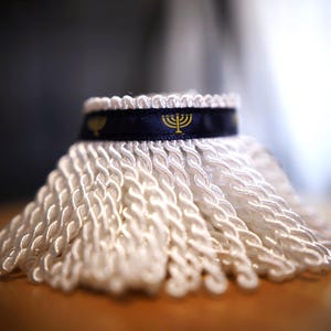 May include: Close-up of a white, braided mop head with a dark blue band. The band features a gold menorah symbol. The mop head is made of thick, woven cords. The background is blurred, with a focus on the mop head.