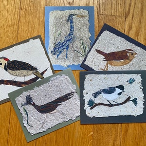 Garten Vogel Grußkarten, Set aus fünf Blanko-Faltdrucken von Originalkunstwerken. Vervollkommnen Sie für Naturliebhaber, Lehrergeschenk, Geschenk für Vogelbeobachter.