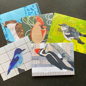 Cartes de correspondance oiseaux uniques, impressions vierges de collages de papier colorés. Jeu de 5 cartes assorties pour toutes les occasions, cadeau pour les ornithologues amateurs, les amoureux de la nature