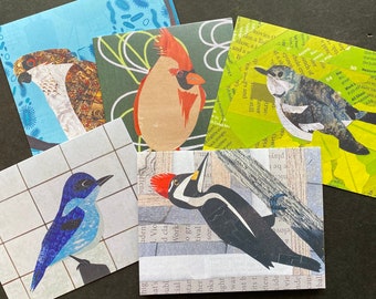 Unique bird notecards, blank prints of colorful paper collage art. Assorted set of 5 cards for any occasion, gift for birders, nature lovers