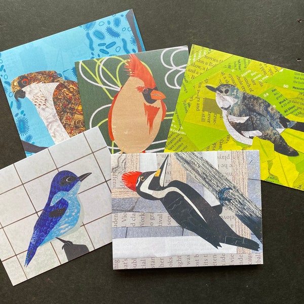 Unique bird notecards, blank prints of colorful paper collage art. Assorted set of 5 cards for any occasion, gift for birders, nature lovers