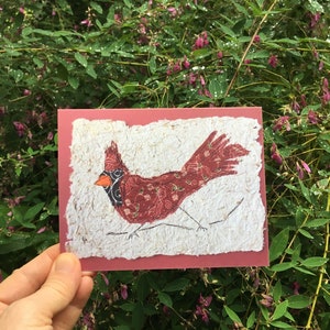 Biglietto di auguri con cardinale rosso, stampa da arte mista originale. Biglietto piegato per tutte le occasioni, biglietto perfetto per birdwatcher, biglietto per amanti della natura.