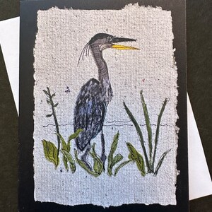 K&ouml;nnte beinhalten: Eine Gru&szlig;karte mit einer handgezeichneten Illustration eines Blaufischreihers in einem Sumpf. Der Reiher hat einen langen Hals und einen gelben Schnabel. Gr&uuml;ne Pflanzen umgeben den Vogel, und die Karte hat einen schwarzen Rand und einen wei&szlig;en Umschlag.