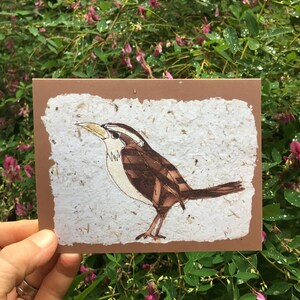 Piccola cartolina di auguri Carolina Wren, stampa piegata vuota di arte mista originale. Biglietto per birdwatcher, amanti della natura. Biglietto per tutte le occasioni.