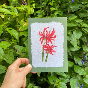 Spinnenlelie kunstkaart. 5 x 7 briefkaartafdruk van originele kunst. Rode helbloemenkaart voor tuinman, kleurrijke verrassingsbloem voor tuinvrienden.