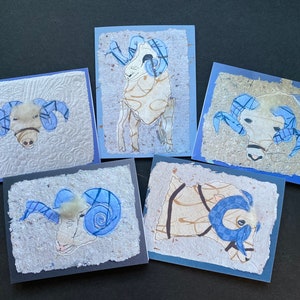 UNC Tarheel stationery. 5 blank folded Rameses prints, Carolina blue thank yous, birthdays, back to school for Carolina fans and students.