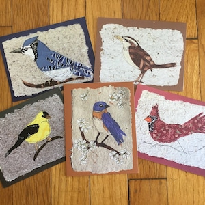 Cartes pour ornithologues amateurs, lot de 5 impressions de cartes de voeux vierges représentant des oeuvres d'art originales d'oiseaux d'arrière-cour. Merveilleux cadeau pour les ornithologues amateurs, les enseignants, les amis.
