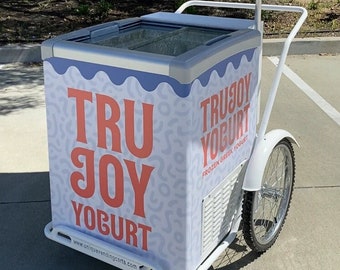 ICE CREAM FREEZER Cart Electric Freezer Cart Pool Cart Frozen Treats Street Cart Push Cart Gelato Cart Ice Cream Tubs Scooped Ice Cream Cart