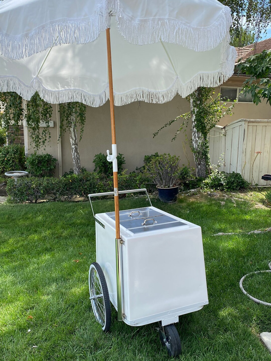 Paleta Cart Mexican Paletas Traditional Mexican Paleta Cart Paleta