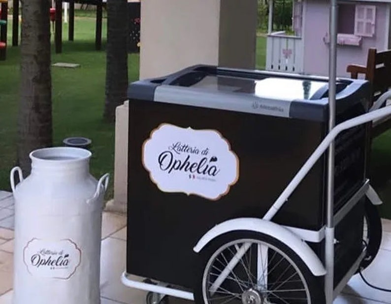 ICE CREAM FREEZER Push Cart Electric Freezer Cart Pool Cart Beach Cart